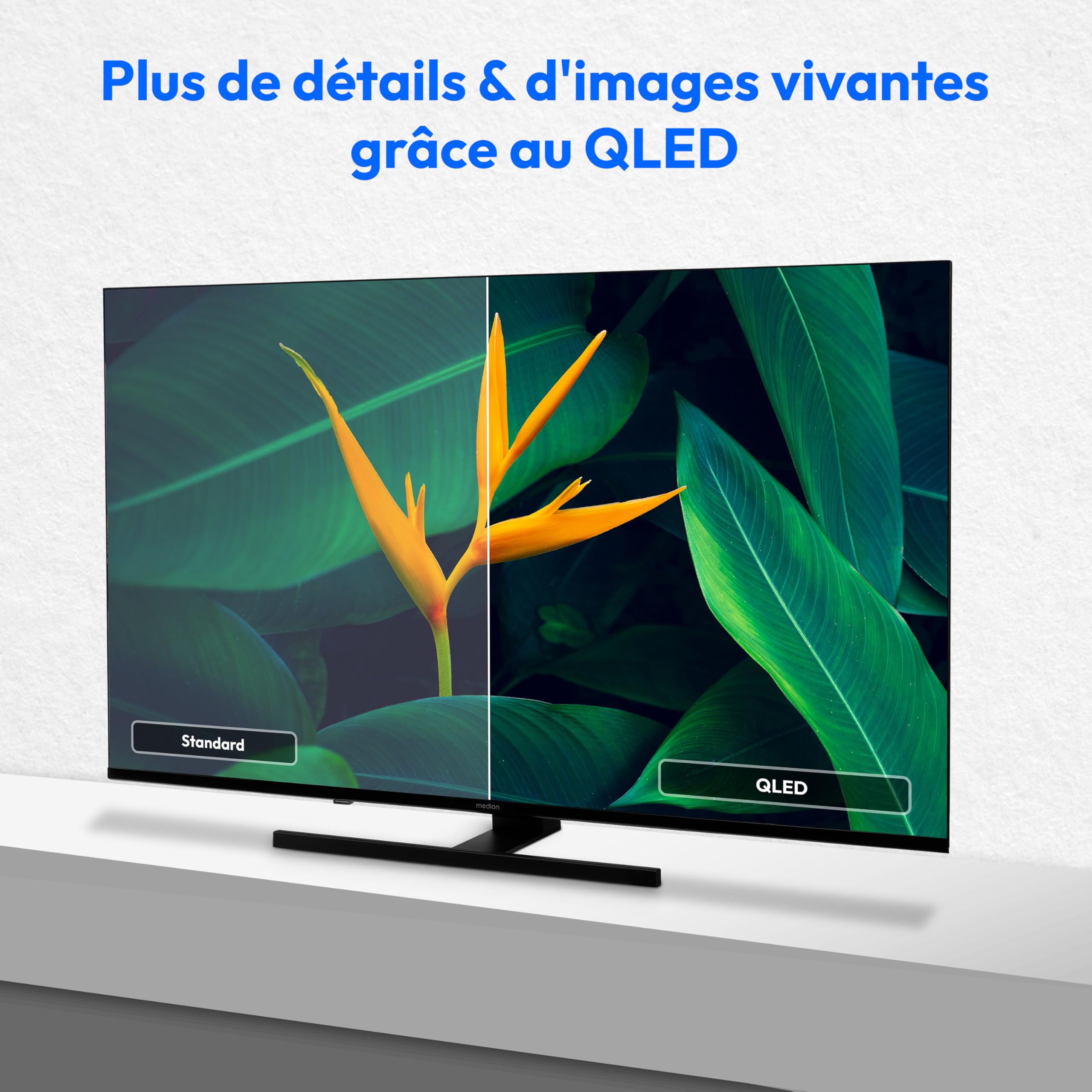MEDION TV 50 Pouces 4K (125,7 cm) QLED Television (Smart TV 4K, Dolby Vision HDR, VIDAA Store, Prime Video, Disney+, DAZN, Paramount+, DTS X, Dolby Atmos, PVR, Bluetooth, MD 850600)